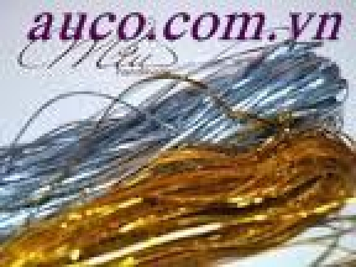 Dây kim tuyến sợi